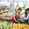 Lowe's Home Improvement gallery