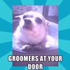 Groomers at YOUR door (BASIC pet mobile grooming) gallery