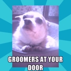 Groomers at YOUR door (BASIC pet mobile grooming)