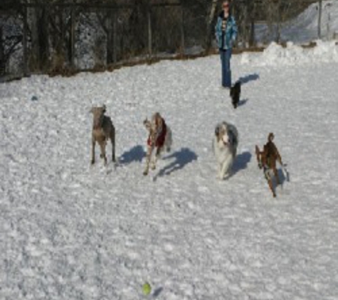 Creature Comforts Pet Retreat - Loveland, CO