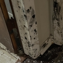 SERVPRO of Marina Del Rey/Westchester/El Segundo - Fire & Water Damage Restoration