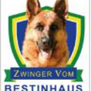 Zwinger Vom Bestinhaus German Shepherds - Pet Breeders