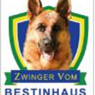 Zwinger Vom Bestinhaus German Shepherds