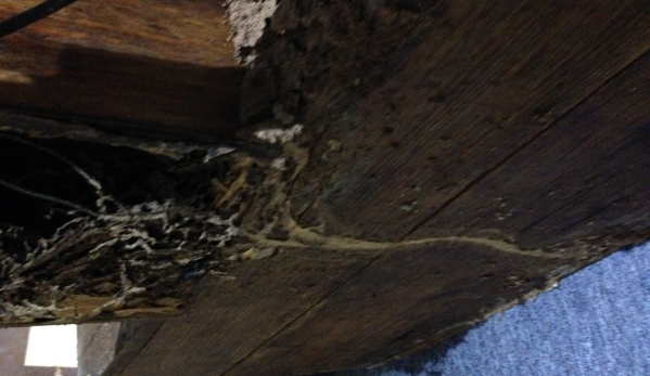 North Vic Pest Control - Swan Hill, VIC