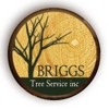 Briggs Tree Service Inc. gallery