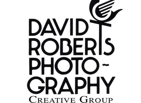 David Roberts Photography - Rochester Hills, MI