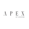 APEX at Avenir gallery