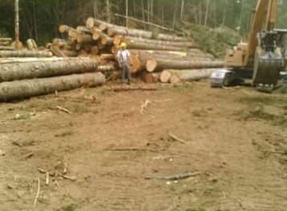 Doug Anderson logging and clearing - Port Orchard, WA