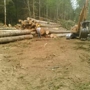 Doug Anderson logging and clearing