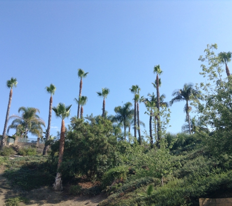 Ghai's Tree Services & Landscaping - Costa Mesa, CA