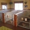 Cedar Creek Dog Boarding Kennel gallery