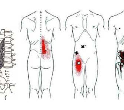 Gorokan Bowen Clinic - Tuggerawong, NSW
