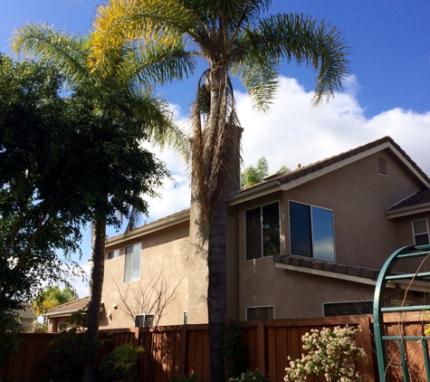 Santiago Tree Service - Escondido, CA