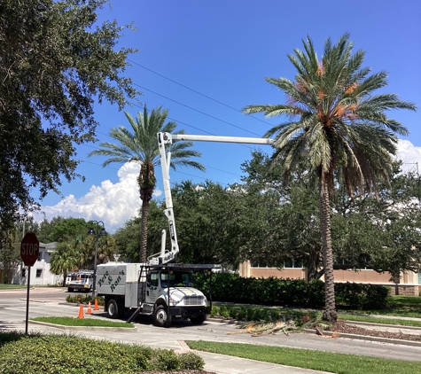 Pete and Rons Tree Service