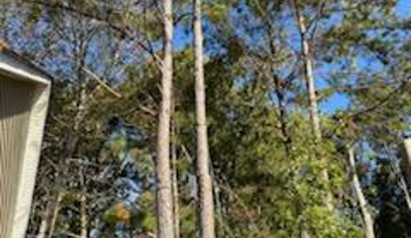 AGLA Tree Services - Mount Holli, NC