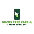 Bucks Tree Care & Landscaping inc