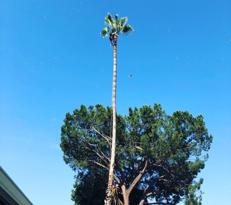 Garden Green Landscaping - Los Angeles, CA