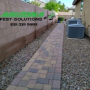 Arizona Termite & Pest Solutions - Termite Control