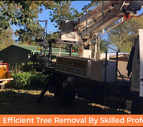 Rob Jamieson Tree & Stump Removal - Colac East, VIC. Safe And Efficient Tree Removal By Skilled Professionals