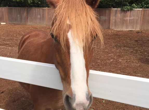 Fox Hollow Farm - Issaquah, WA