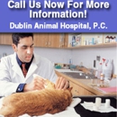 Dublin Animal Hospital PC - Jay Marshall Lord DVM - Pet Grooming