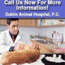 Dublin Animal Hospital PC - Jay Marshall Lord DVM - Veterinary Clinics & Hospitals