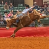 Southeastern Professional Rodeo Association gallery