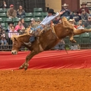 Southeastern Professional Rodeo Association - Rodeos