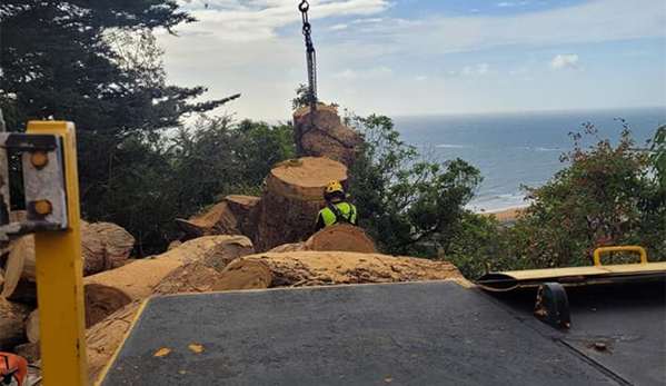 E&T Tree Services And Stump Grinding - Penguin, TAS