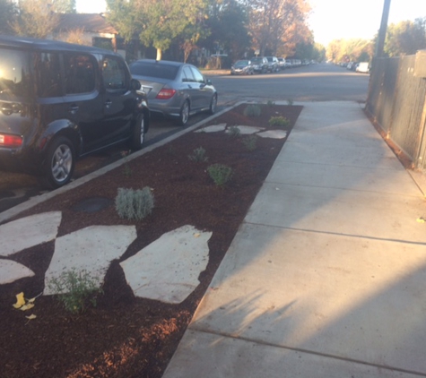 Lesaca Landscape Co - Bakersfield, CA. Street landscaping