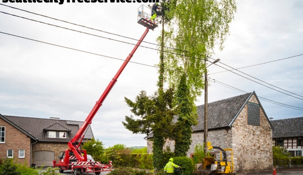 Seattle City Tree Service - Seattle, WA