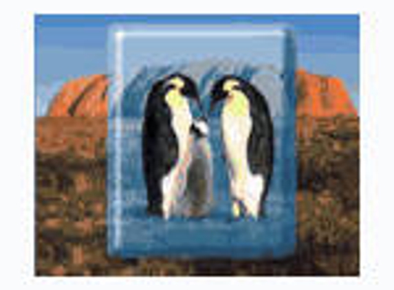 Coral Airconditioning - Riverwood, NSW