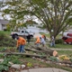 Embark Tree Removal