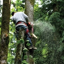Tree Specialists - Firewood