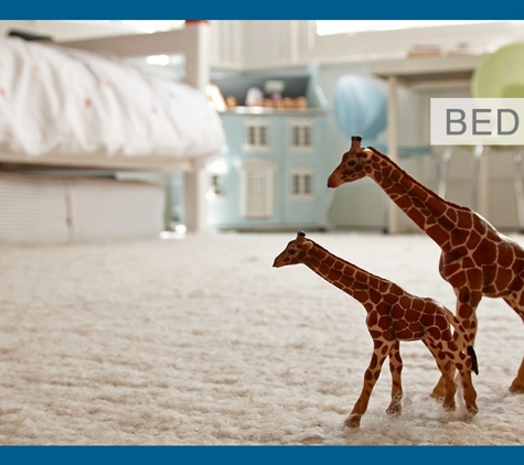 Freedom Carpet Cleaning - Raymond Terrace, NSW. We Do Our Best To Beautify And Enhance Your Home With Frequent Cleanings