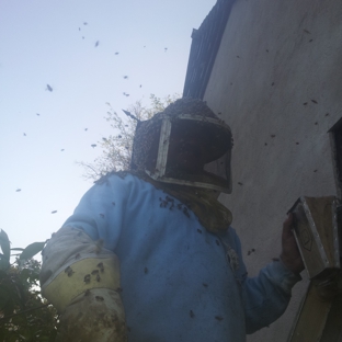 Juan's Live Bee Removal - Los Angeles, CA