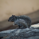 Bug A Bug Pest Extermination - Pest Control Equipment & Supplies