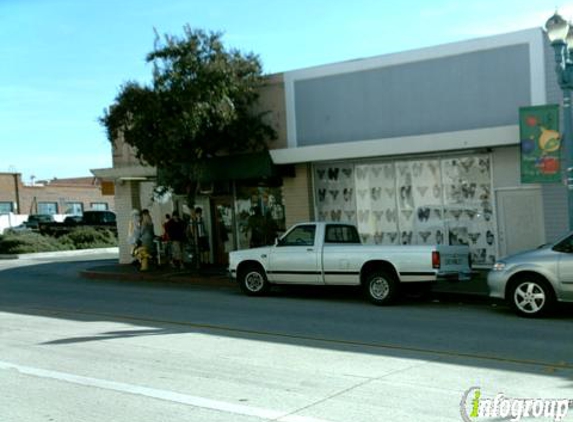 Fringe Salon - Covina, CA