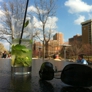 Photo #11