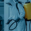 Debug Your Bed Pest Control gallery