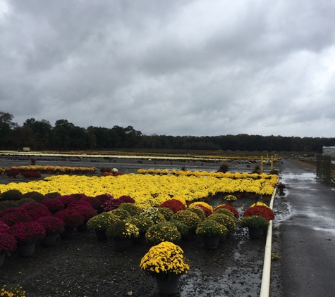 Gasko's Family Farms - Monroe Township, NJ