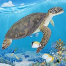 Christopher Smart's Reef Painting - Fine Art Artists