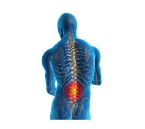 Chiropractic Spinal Health - Hornsby, NSW