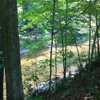 Audubon Center Bent of the River gallery