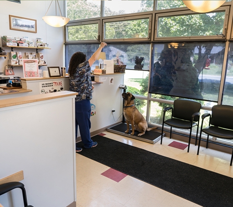 Lakeville Animal Hospital - Lakeville, MA