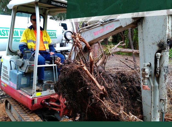 Eastern Hills Liquid Waste. Tree Root Removal