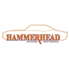 Hammerhead Paintless Dent Removal gallery