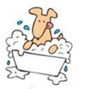 Biscuit Bath & Beyond - Pet Services