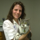 Cats On Broadway Hospital - Veterinarians