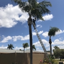 Branch Off, LLC - Tree Service